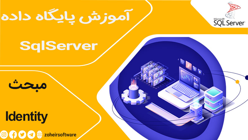 Identity,sqlserv in Identity,فیلد identity