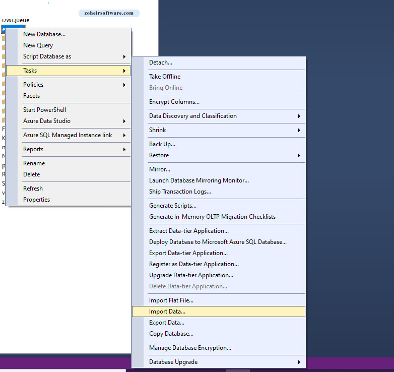 انتخاب import Data